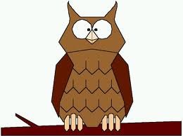 owl