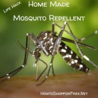 Home Made Mosquito Repellent